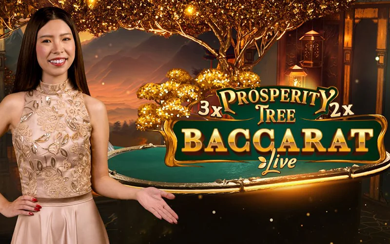 Prosperity Tree Baccarat attracts players with its simple and dynamic mechanics.